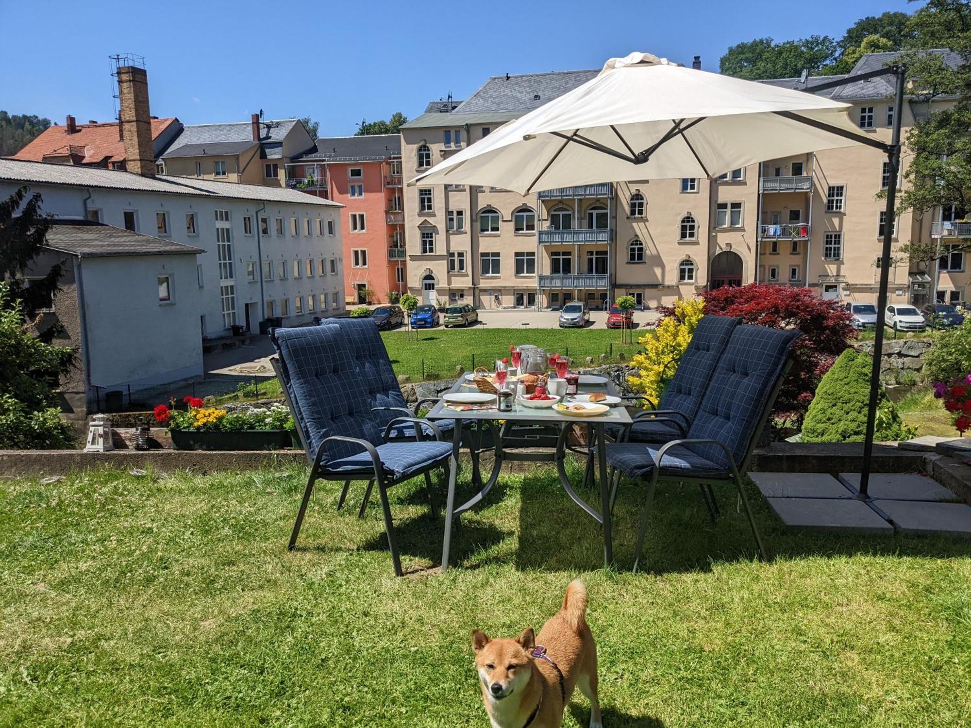 Uo - Urlaubsmagie - Helle Wohnung,Sauna,Whirlpool Sebnitz Zewnętrze zdjęcie