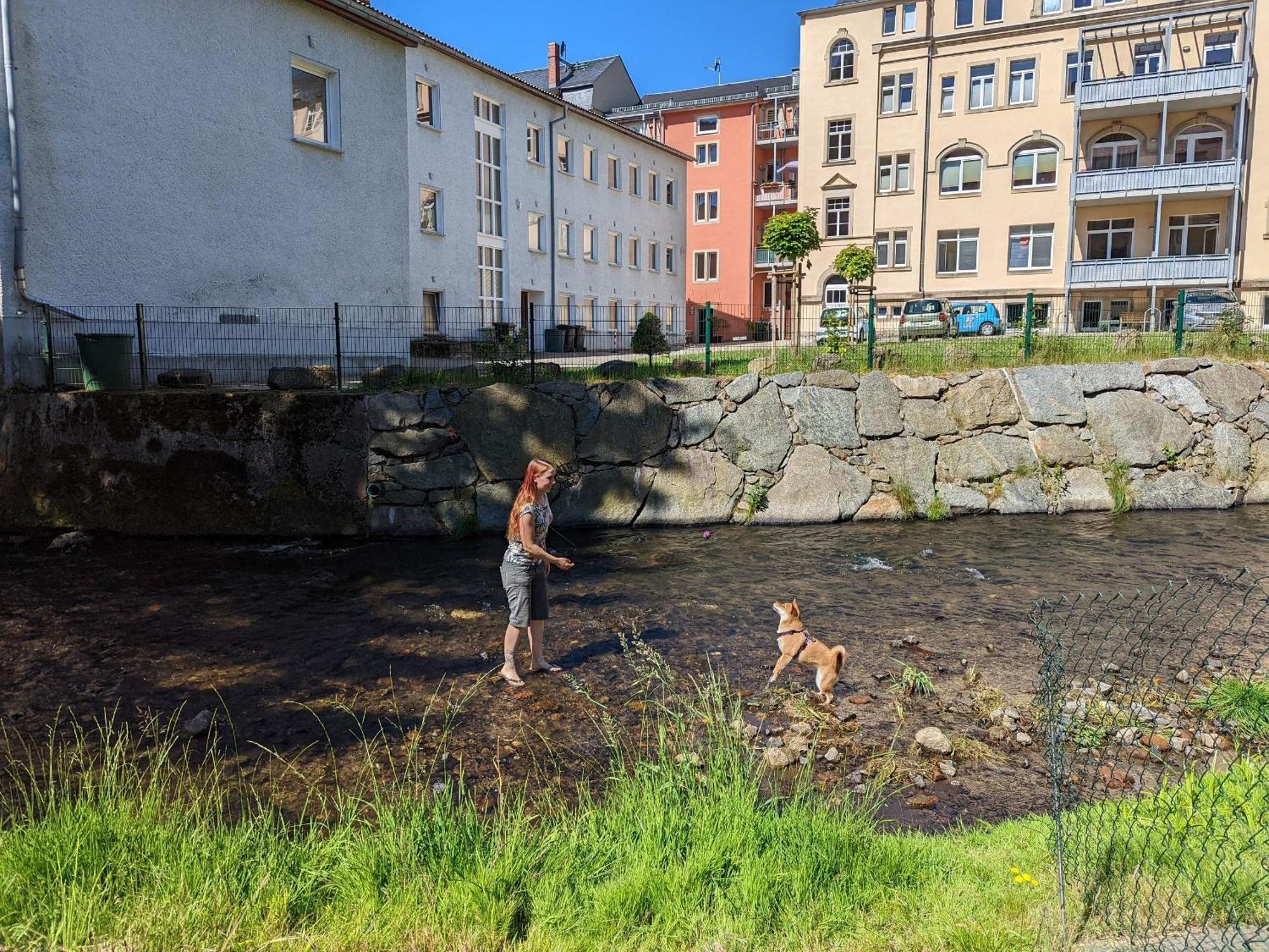 Uo - Urlaubsmagie - Helle Wohnung,Sauna,Whirlpool Sebnitz Zewnętrze zdjęcie